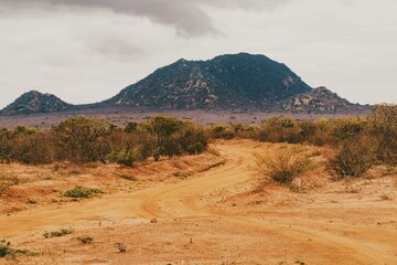 Savannah grassland landscapes with acacia trees and mountains in Tsavo East National Park, Kenya