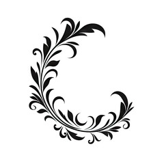Fototapeta premium Baroque Victorian Frame Ornament, Floral Border, Baroque Decoration Element, Twin Icon, Filigree Flourish