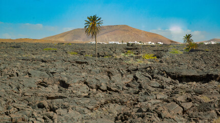 enerife, Canary Islands Spain Panoramic view of the mountainous and volcanic area of the island