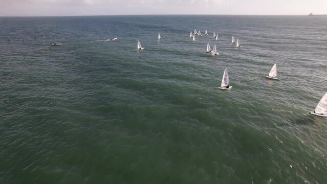 Aerial drone approaching a regatta of sloop sailboats in Cascais, Portugal