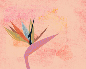 Flower Floral Strelitzia Botanical Illustration