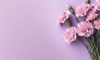 Naklejka na ściany i meble Purple carnations elegantly arranged against a rich purple backdrop.
