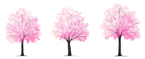 Vertor set of spring blossom tree,bloomimg plants side view for landscape elevation and section,eco environment concept design,watercolor sakura illustration,colorful season - obrazy, fototapety, plakaty