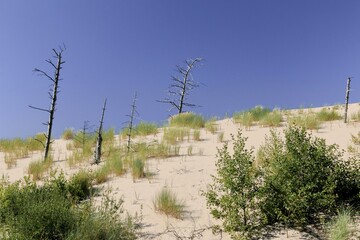 Slowinski Park Narodowy with the largest stretch of moving sand dunes in Europe. The dunes can move by up to 10 meters every year, sometimes are called a sandy desert. 