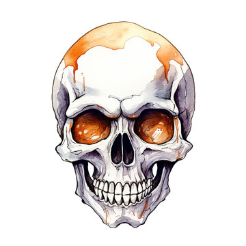 Human skull model isolated on white background. Watercolor illustration created with Generative Ai technology