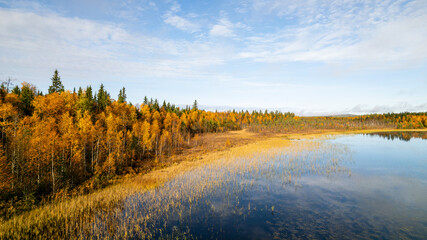 Herbst an einem See in Vösterbotten im Norden von Schweden - obrazy, fototapety, plakaty