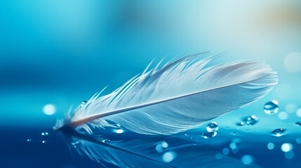 DROPS OF WATER ON A BIRD'S FEATHER. legal AI