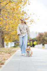 Fototapeta premium A woman walks with a corgi dog. Training and education.