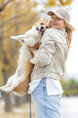 A woman walks with a corgi dog. Training and education.