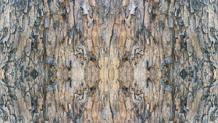 tree trunk texture, suitable for background