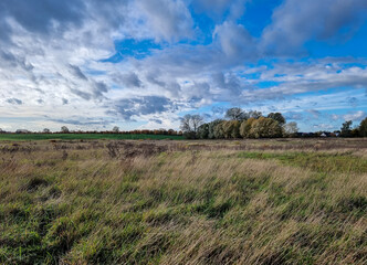 landscape with clouds and sky