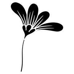 black and white flower