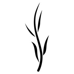 illustration of a plant