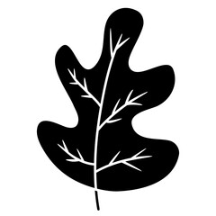 oak leaf illustration