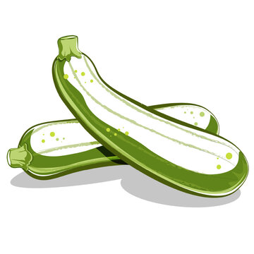 green zucchini vegetables on white background clip art preview