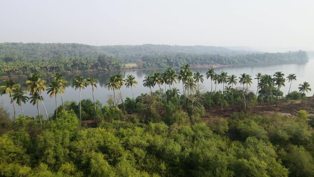 Aerial view of a beautiful landscape of an island surrounded by coconut trees in Tarkarli, Maharashtra near Goa, India