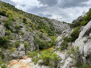 Bijela voda stream canyon or Bijela river karst canyon, Karin Gornji - Croatia (Kanjon potoka Bijela voda ili krški kanjon Bijela rijeka, Karin Gornji - Hrvatska)