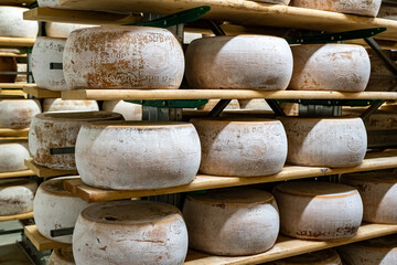 Parmesan cheese production and in Italy