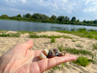 multicolored stones lie on the yellow river sand on the beach