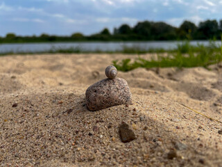 multicolored stones lie on the yellow river sand