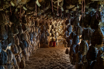 Culatello di Zibello traditional italian ham production cellar
