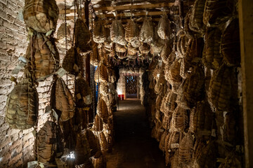 Culatello di Zibello traditional italian ham production cellar