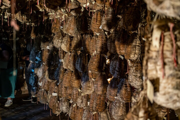 Culatello di Zibello traditional italian ham production cellar