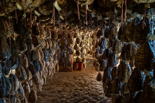 Culatello di Zibello traditional italian ham production cellar