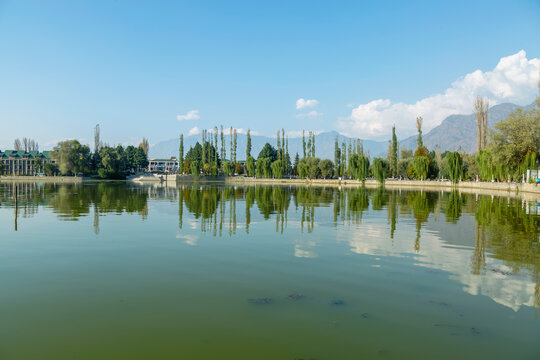 lake in the park in srinagar ,jammu kasmir India
