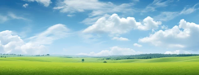 Poster Green grass field agains the blue cloud sky, Generative AI © tonstock