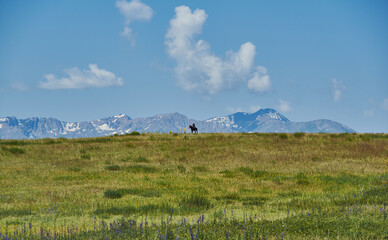 Suusamyr Valley