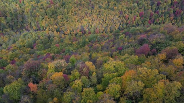 autumn in the mountains at the Lindy Point, West virginia