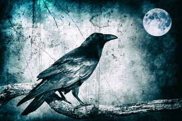 eautiful raven Corvus corax sitting on the branch North Poland Europe, old vintage filters -...