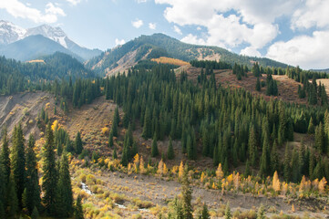 Picturesque hills and mountains of Kazakhstan covered with autumn forests, Almaty region