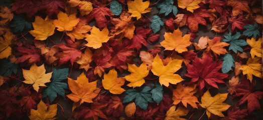 Naklejka na ściany i meble Autumn leaves background, colorful autumn leaves, providing an enchanting backdrop for text and other creative additions.