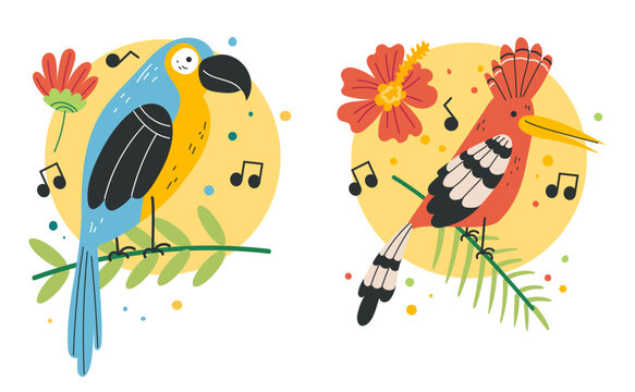 Jungle tropical birds parrot animal art exotic isolated set. Vector flat graphic design illustration