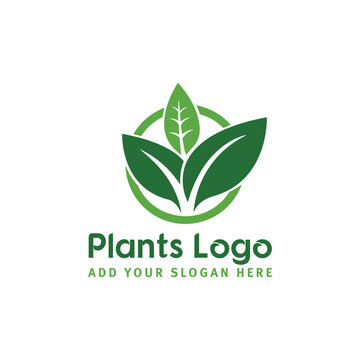 plant logo design vector format