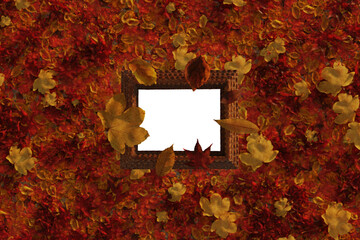 3D rendering of isolated picture frame covered by autumn leaves