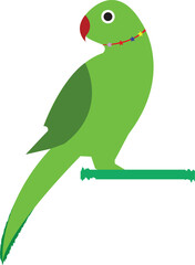 Parrot vector