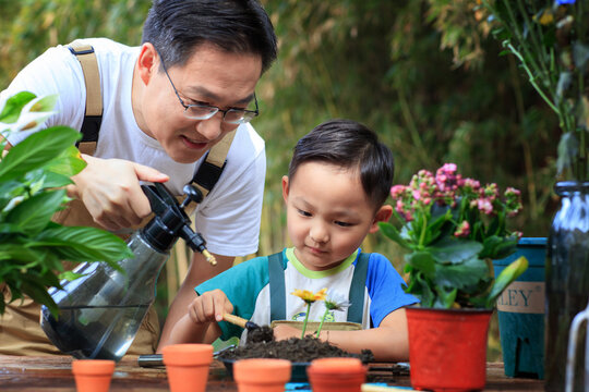 Father and son are trimming flowers and plants in the yard