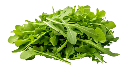 3d rendering close up fresh organic assortment of arugula leaves isolated on transparent background. Healthy lifestyle concept