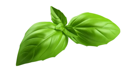 Foto op Canvas 3d rendering close up Fresh organic basil leaves isolated on transparent background png. Top view. Flat lay. Sweet Genovese basil © vita555