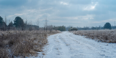 Leśna droga przez las , śnieg drzewa , łąki zimowe pod niebem zachmurzonym i mglistym w...