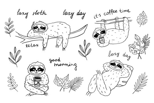 Cute set of sloths with cup of coffee, sloths lie on a tree and tropical leaves  in doodle style. Hand-drawn. Coloring. Outline. Black and white image.  Vector illustration EPS10