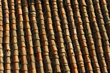 Orange texture of old tubular tiles covered with moss on the roof.