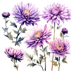 Obraz premium Set of lavender floral watecolor. flowers and leaves. Floral poster, invitation floral. Vector arrangements for greeting card or invitation design