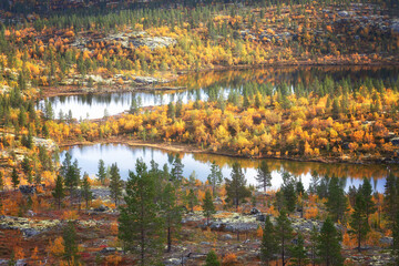 Day autumn landscape with river