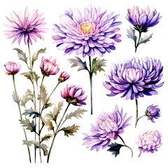 Obraz premium Set of lavender floral watecolor. flowers and leaves. Floral poster, invitation floral. Vector arrangements for greeting card or invitation design