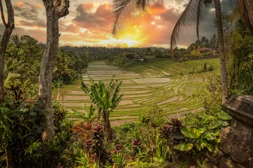Keuken foto achterwand Rijstvelden Rice terraces in the evening light. Beautiful green rice terraces overlooking the countryside. View of the rice terrace in Blimbing and Pupuan, Bali
