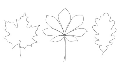 Monoline Blätter